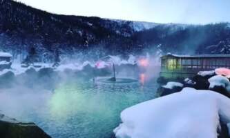 Alaska Wildlife Guide CHS2 Kyle