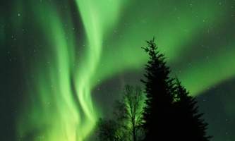 Alaska Wildlife Guide Chena Hot Springs Northern Lights tours 20190404 235151232 i OS 12019