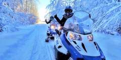 Alaska Wildlife Guide: Snowmobiling in Alaska
