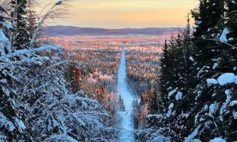 Alaska Wildlife Guide Moose Creek Bluff Peanut Rock Kyle