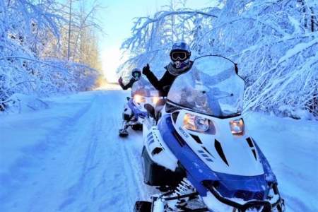 Alaska Wildlife Guide: Snowmobiling in Alaska