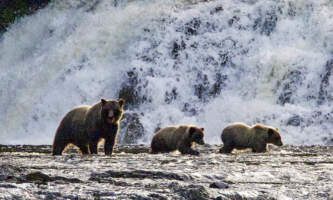 Alaska Yacht Charters 63 C81544 C0 A6 424 C 8070 EEFCEC0 F4490 1 105 c Original Max Stanley