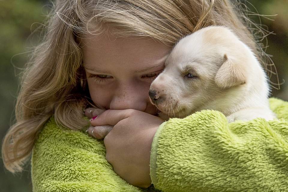 Young girl cuddles a husky puppy