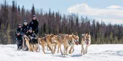 Alaskan Husky Adventures