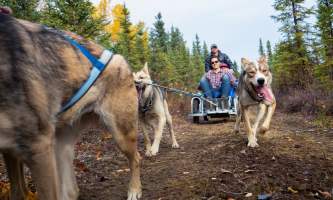 AHA Cart Ride 1 alaska untitled