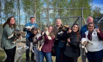 Liz Failor Group with puppies alaska alaskan husky adventures