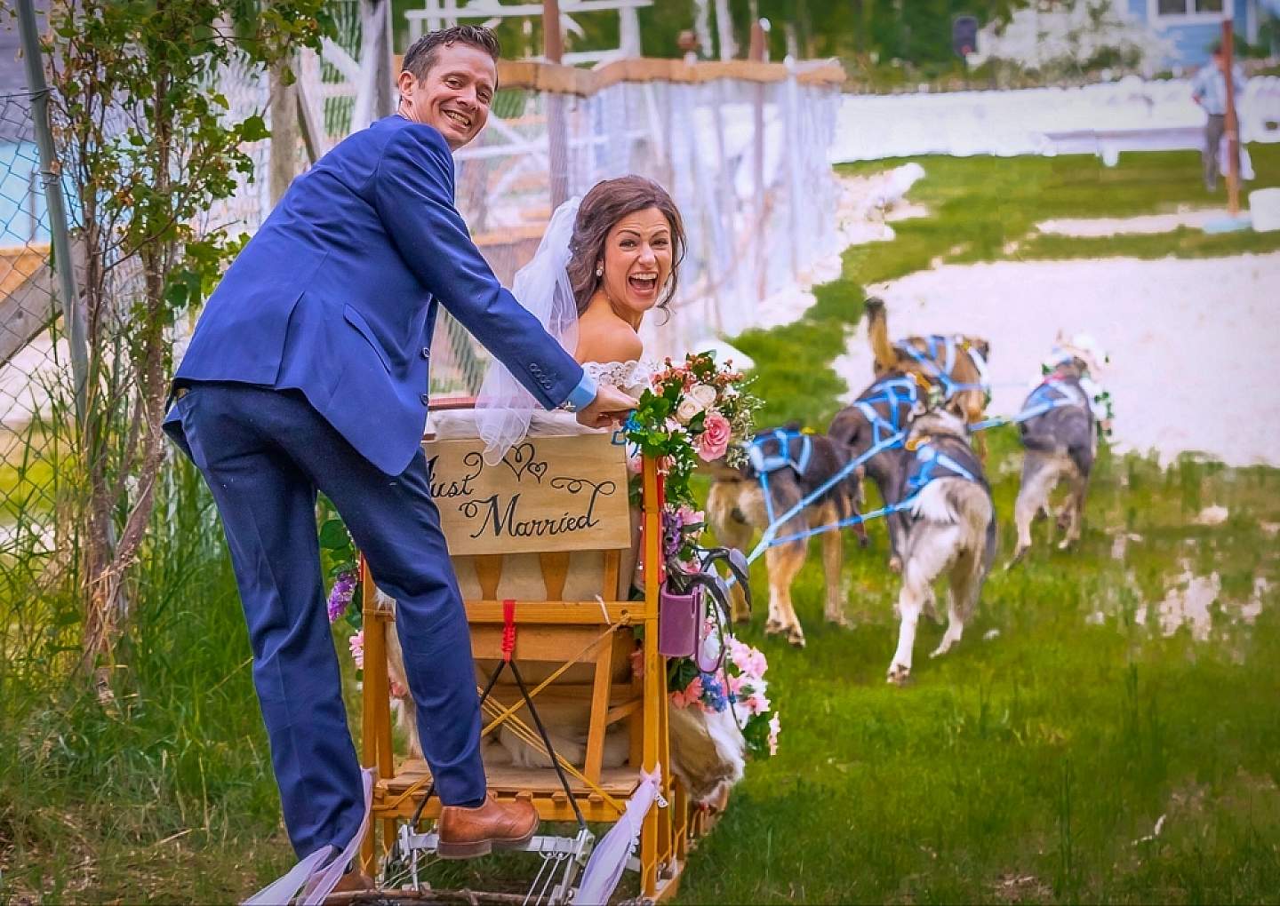 Dog sled down the aisle with Alaskan Husky Adventures just north of Anchorage