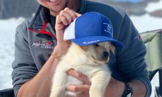Alpine air dog sledding Alpine Air Dog Sledding Pilot Ty with puppy2019