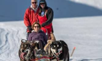 Alpine air dog sledding Alpine Air Dog Sledding Seward PC Taylor Hutchins2019