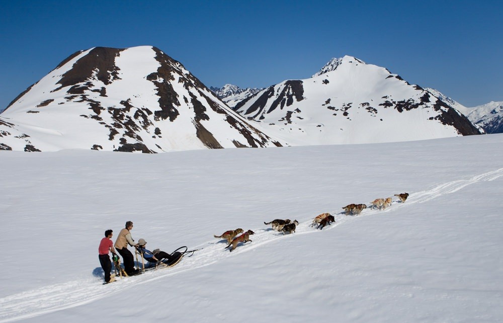 Alpine Air Alaska Glacier Dogsledding