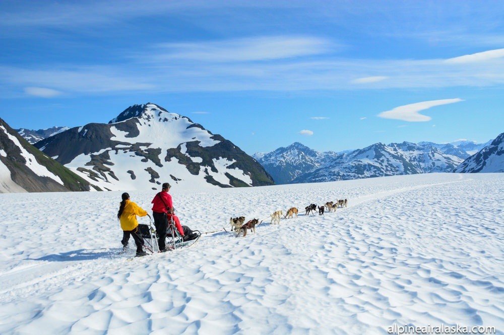 Alpine Air Alaska Glacier Dogsledding | ALASKA.ORG