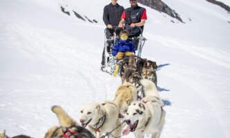 Alpine Air Glacier Dog Sledding AKAP Alpineair Dogcamp 25