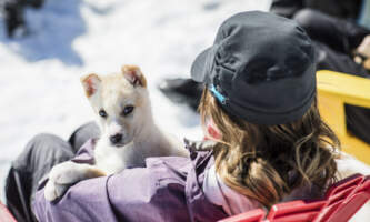 Alpine Air Glacier Dog Sledding AKAP Seavy Iditaride2018 21
