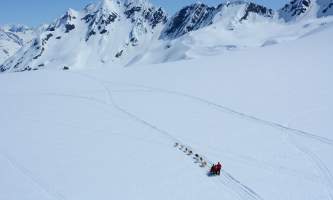 Alpine air alaska girdwood glacier dogsledding Alpine Air Alaska Glacier Dog Sledding Aerial