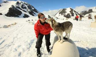 Alpine air alaska girdwood glacier dogsledding GCC mobil photo 1