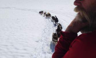 Alpine air alaska girdwood glacier dogsledding Peter