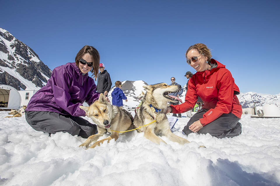 Fly to a remote glacier camp where you'll mush across the snow, and meet sled dogs in training!