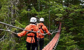 Alaska alpine zipline adventures juneau DSC 1337 alaska zipline adventures