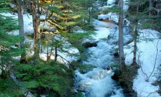 Alaska alpine zipline adventures juneau Fish Creek alaska zipline adventures