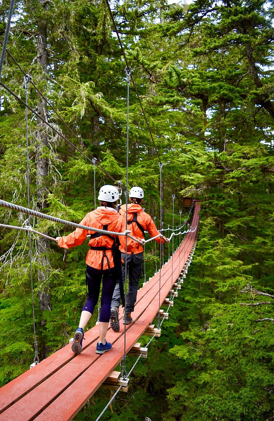 Two people in ziplining gear walk across a suspension bridge through the forest.