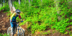 Alyeska Resort Summer Mountain Biking & Hiking Trails