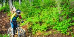 Alyeska Resort Summer Mountain Biking & Hiking Trails