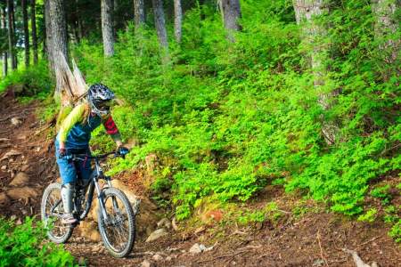 Alyeska Resort Summer Mountain Biking & Hiking Trails