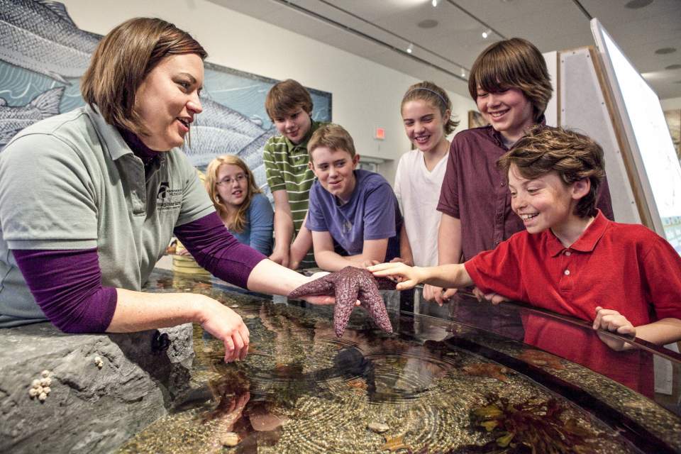 Kids love the touch tank in the Discovery Center