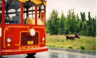 Anchorage Trolley Trolley Moose2019