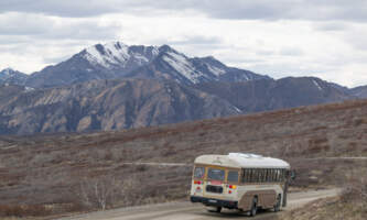 DSC 8441 1narrated tour buses in denali national parkalaska org untitled