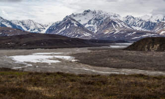 DSC 8476 Pano 1narrated tour buses in denali national parkalaska org untitled