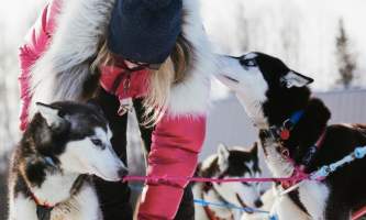 0288 Lisbet Norris Arctic Dog Adventure Co alaska untitled