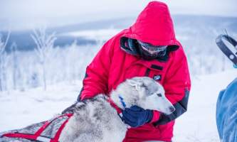 Â Whitney Mc Laren 2135 Lisbet Norris Arctic Dog Adventure Co alaska untitled