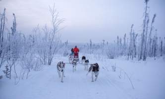 Â Whitney Mc Laren 2233 Lisbet Norris Arctic Dog Adventure Co alaska untitled