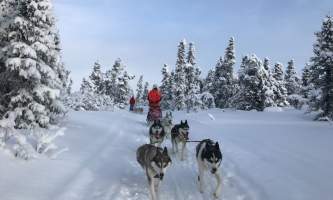 IMG 1654 Lisbet Norris Arctic Dog Adventure Co alaska untitled
