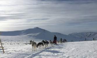 IMG 3514 Lisbet Norris Arctic Dog Adventure Co alaska untitled