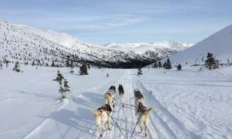 IMG 3528 Lisbet Norris Arctic Dog Adventure Co alaska untitled