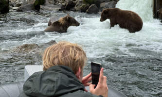 Close bear watch2025alaska org