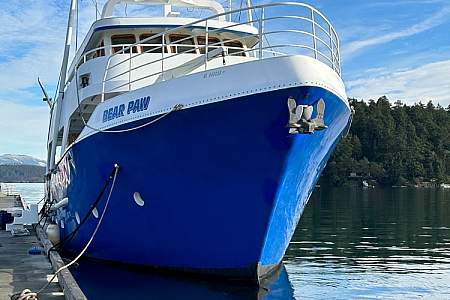 Bear Paw Charters