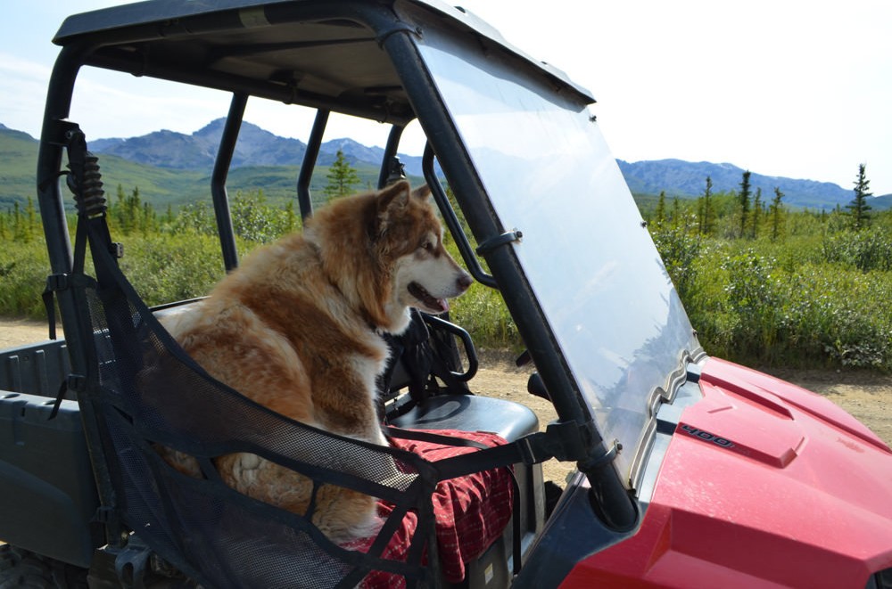 Black Diamond Atv Treasure Hunt Tour Alaska Org