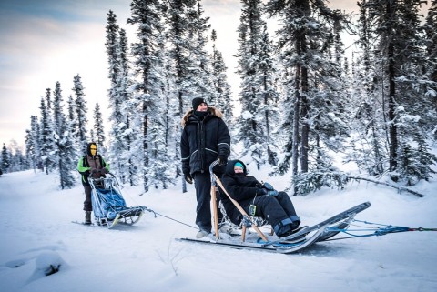 Did you know all dog mushers use engine-equipped vehicles for training their dogs during the "no-snow" times of year?