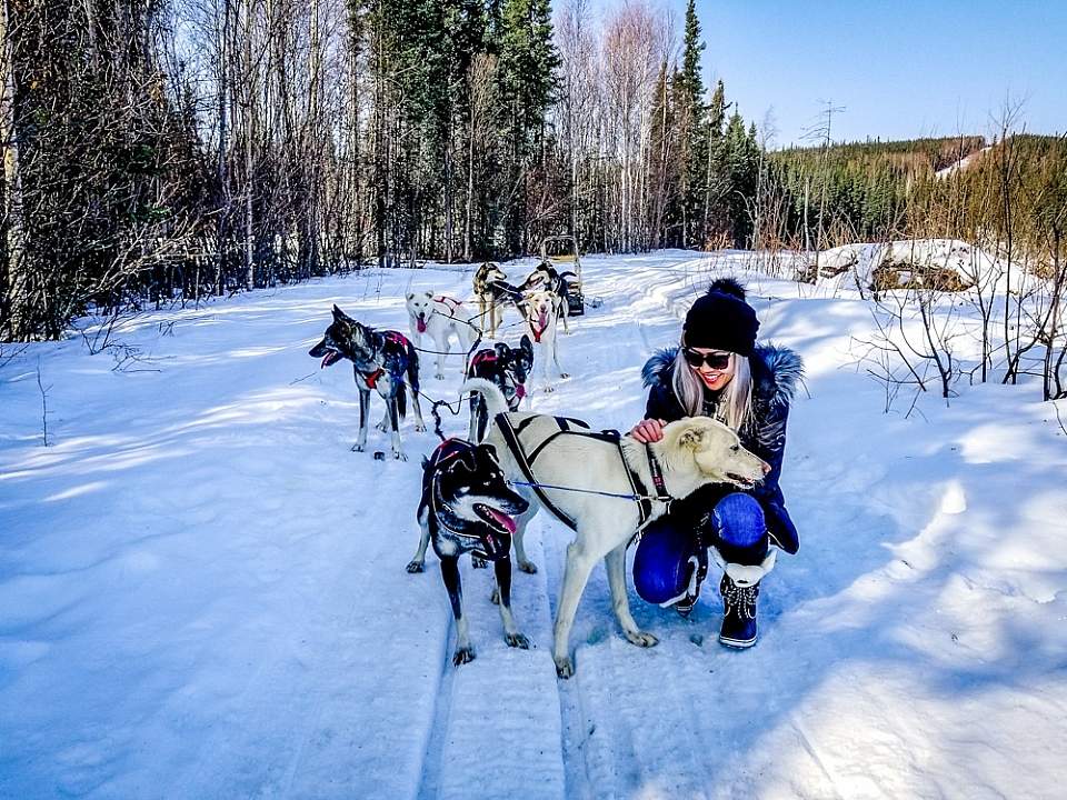 Take advantage of the camp's other winter activities; snowshoeing, dog sledding, snowmobiling, fat tire biking, and tours to the Arctic Circle.