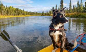 Copper River Guides Rafting 2021 Brandon Thompson 20180904 175350