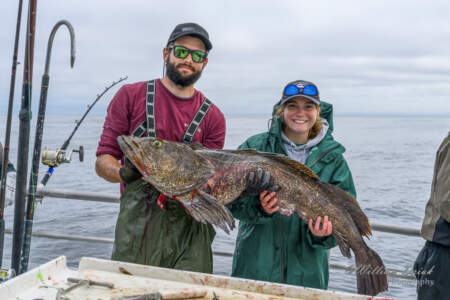Alaska Fishing Charters and Day Trips, The Best Guides