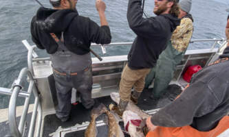 Crazy Rays Fishing Charters IMG 3444 Whittier pics