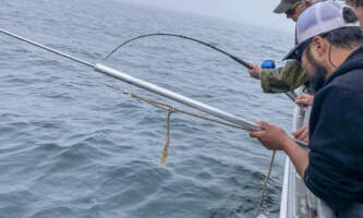 Crazy Rays Fishing Charters IMG 3485 Whittier pics