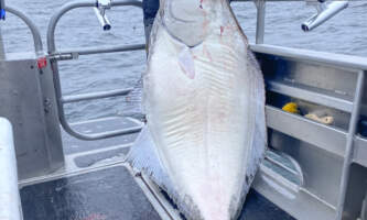 Crazy Rays Fishing Charters IMG 3491 Whittier pics