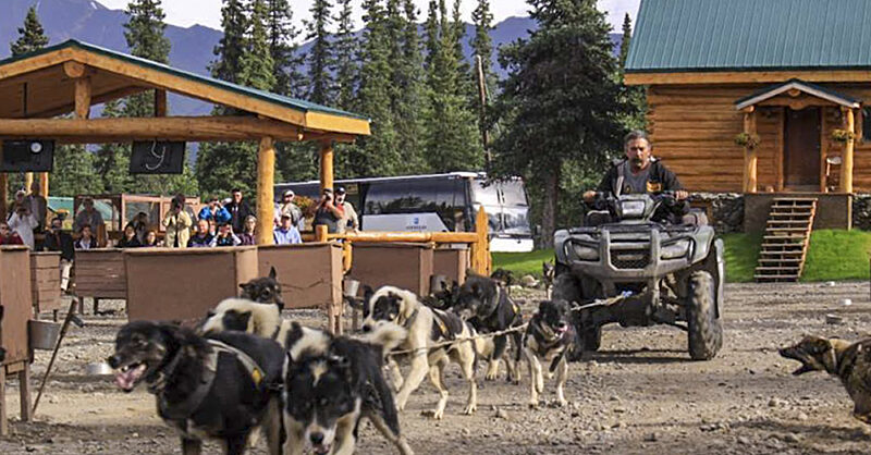 DogGoneIt Tours | Dog Sledding Kennel Tour Near Denali | ALASKA.ORG