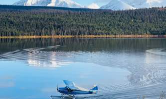 28832026 alaska org dave fish alaska