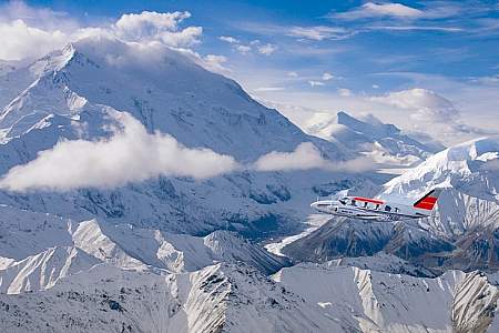 Denali Day Tour from Fairbanks